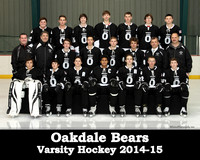 2014-2015 Oakdale Hockey