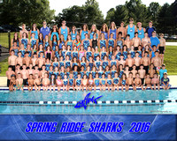 Spring Ridge Swim Team 2016