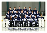 Urbana Hockey