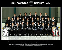 Oakdale Hockey 2013